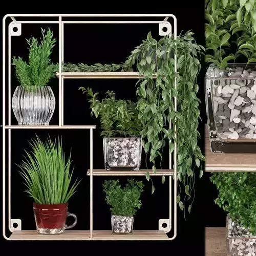 Collection plant vol 122