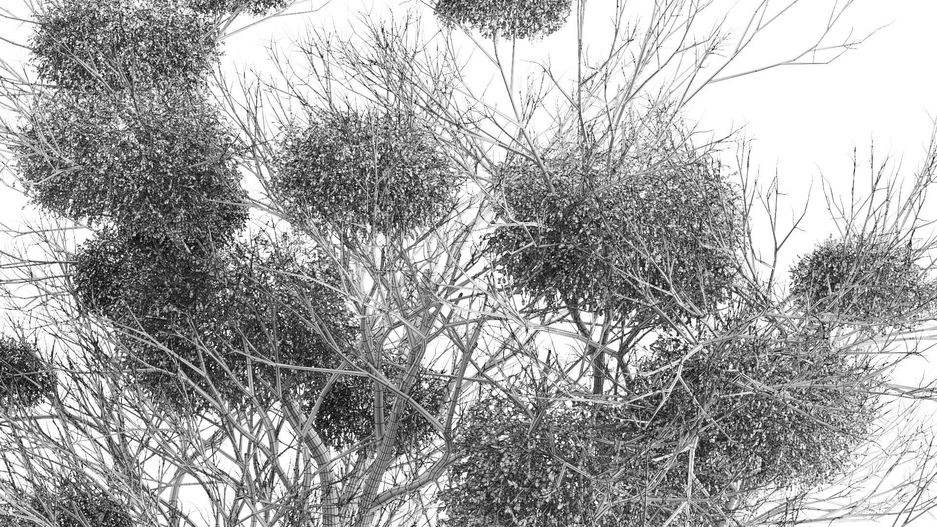 Tree With Mistletoe 3D model_4