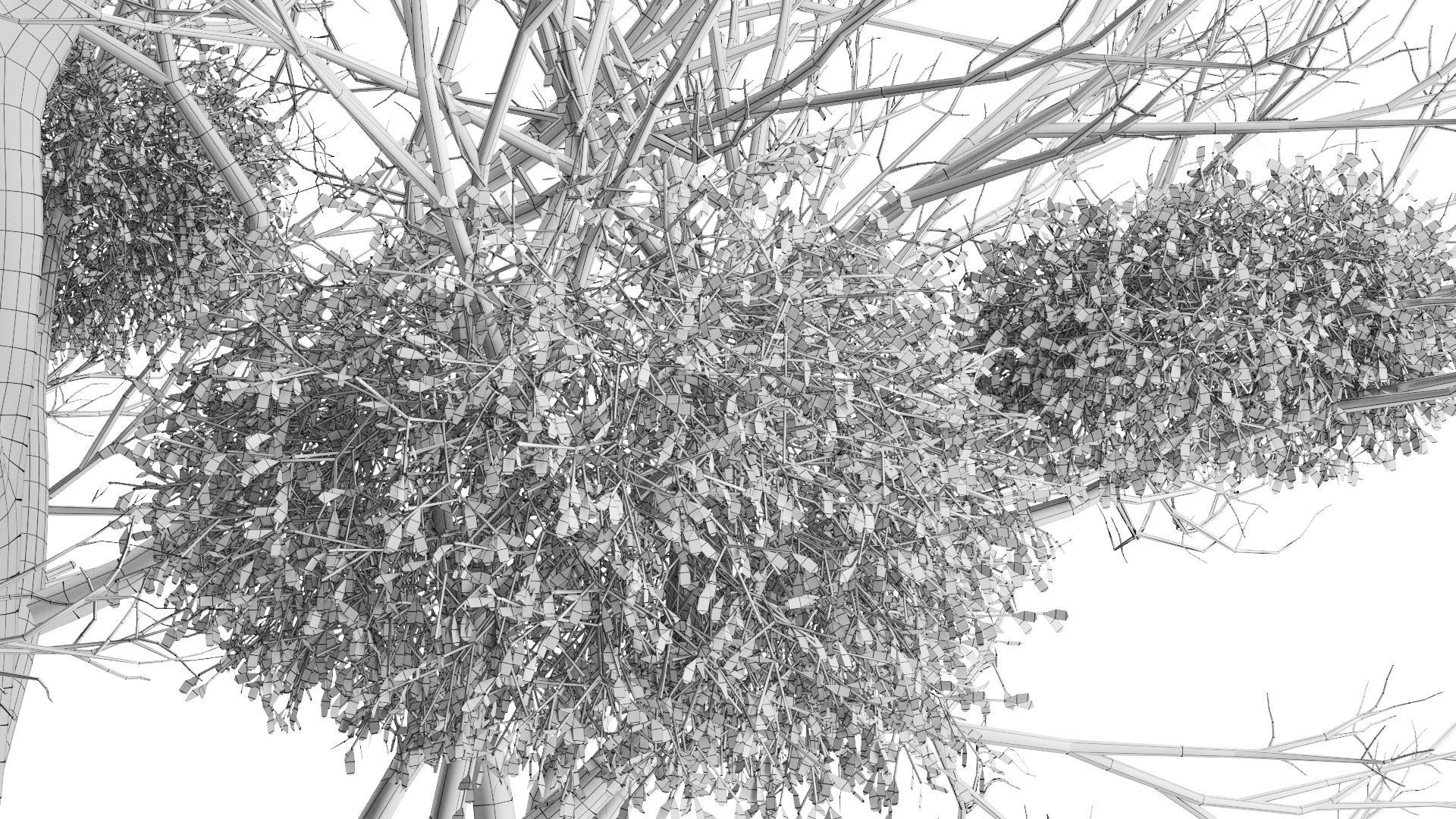 Tree With Mistletoe 3D model_6