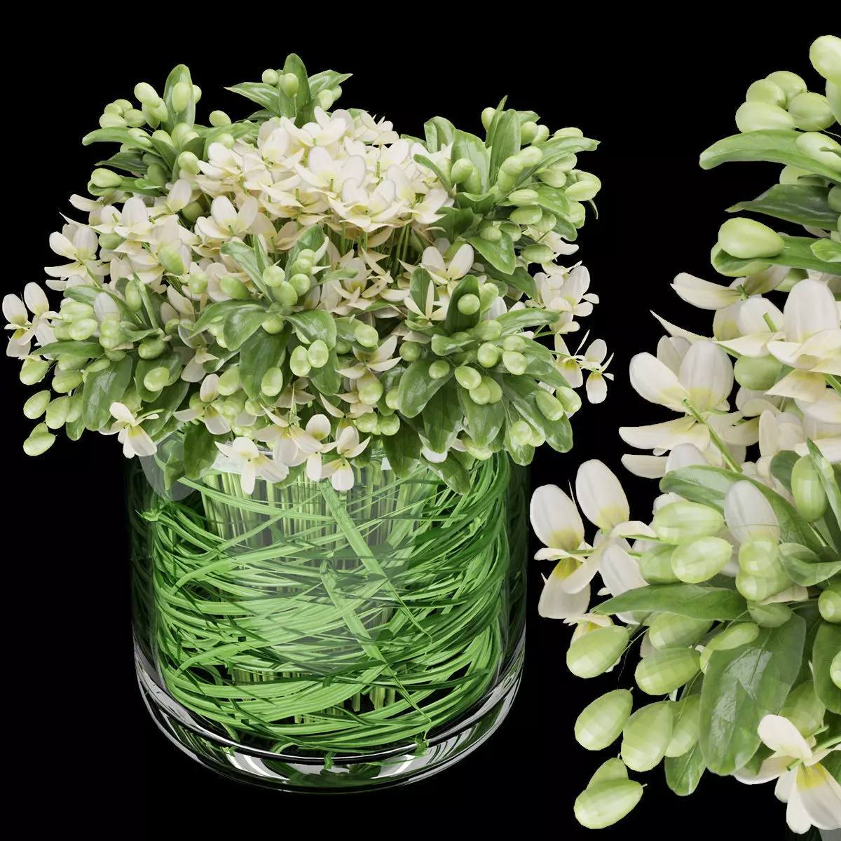 Collection plant vol 123 3D model