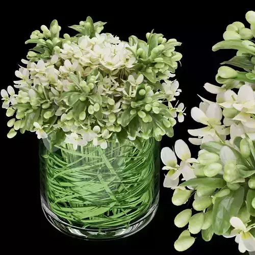 Collection plant vol 123 3D model