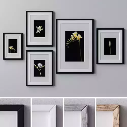 Photo Frames Set  263
