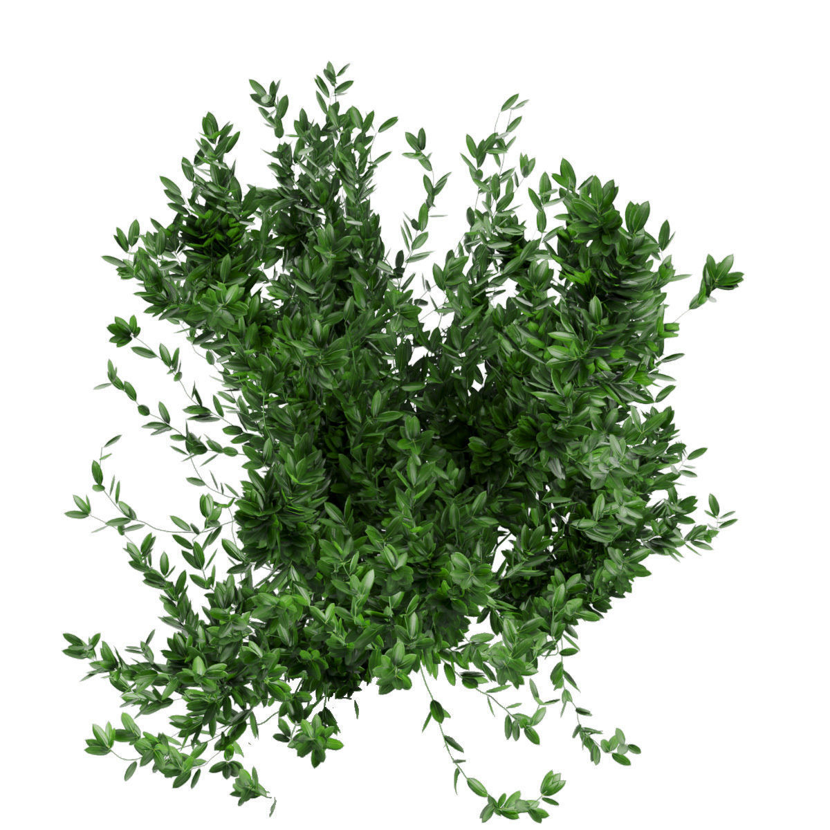 Collection plant vol 124 3D model_2