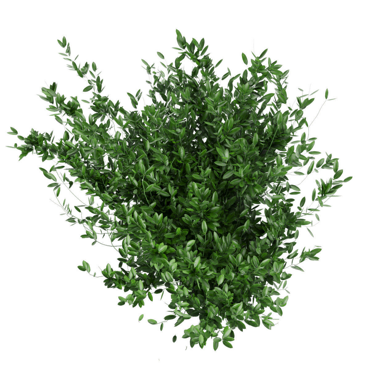 Collection plant vol 124 3D model_3