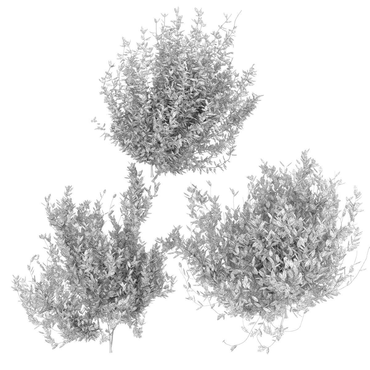 Collection plant vol 124 3D model_4