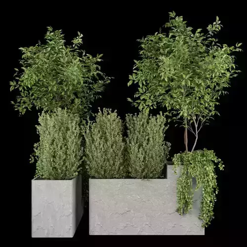 Collection plant vol 125 3D model