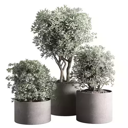 collection outdoor plant 24 concrete vase