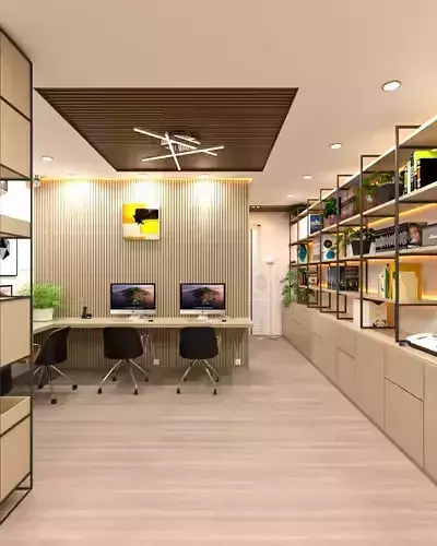 Private Office Small Office 3D Model