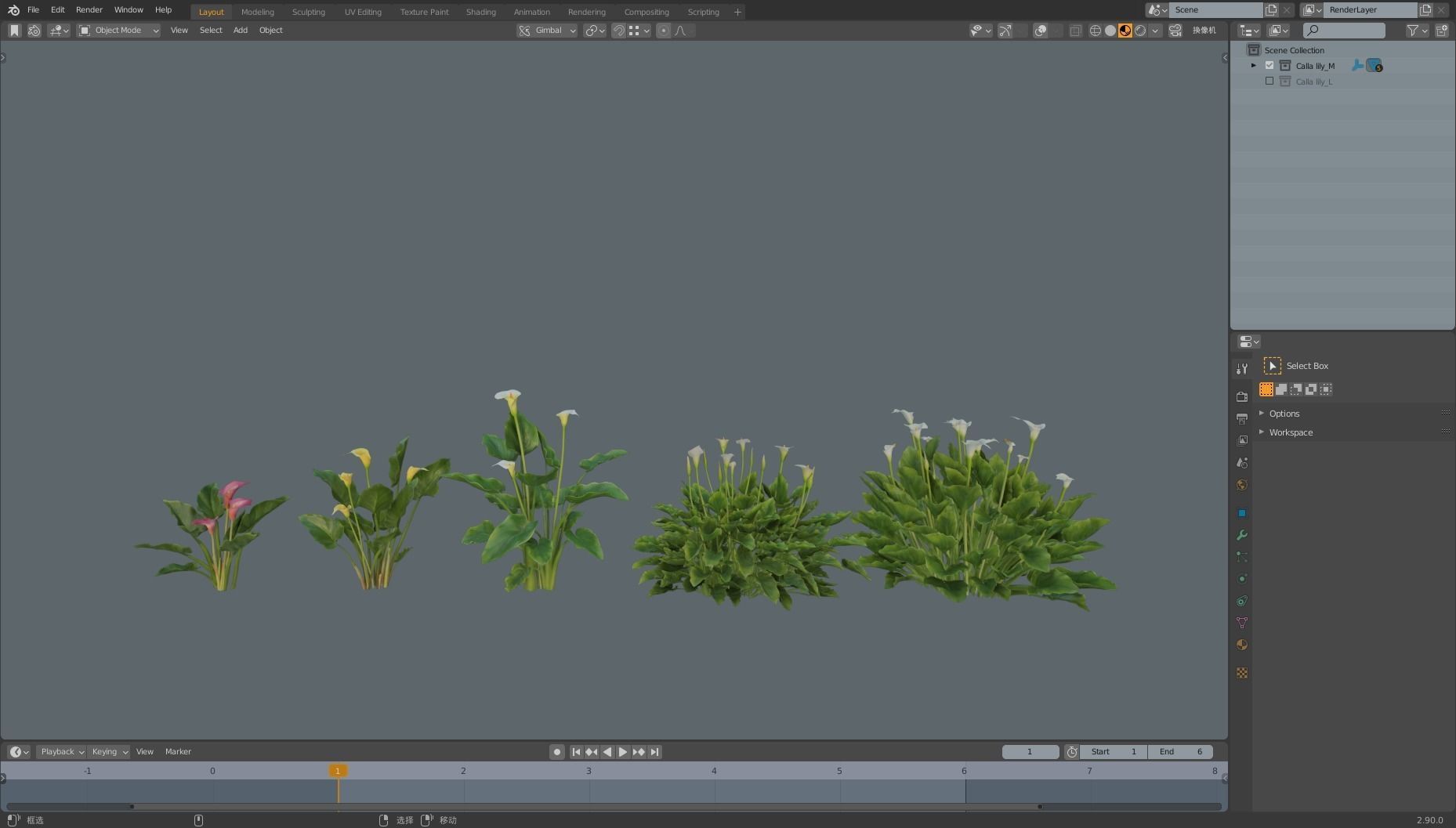 Calla Lily 3D model_10