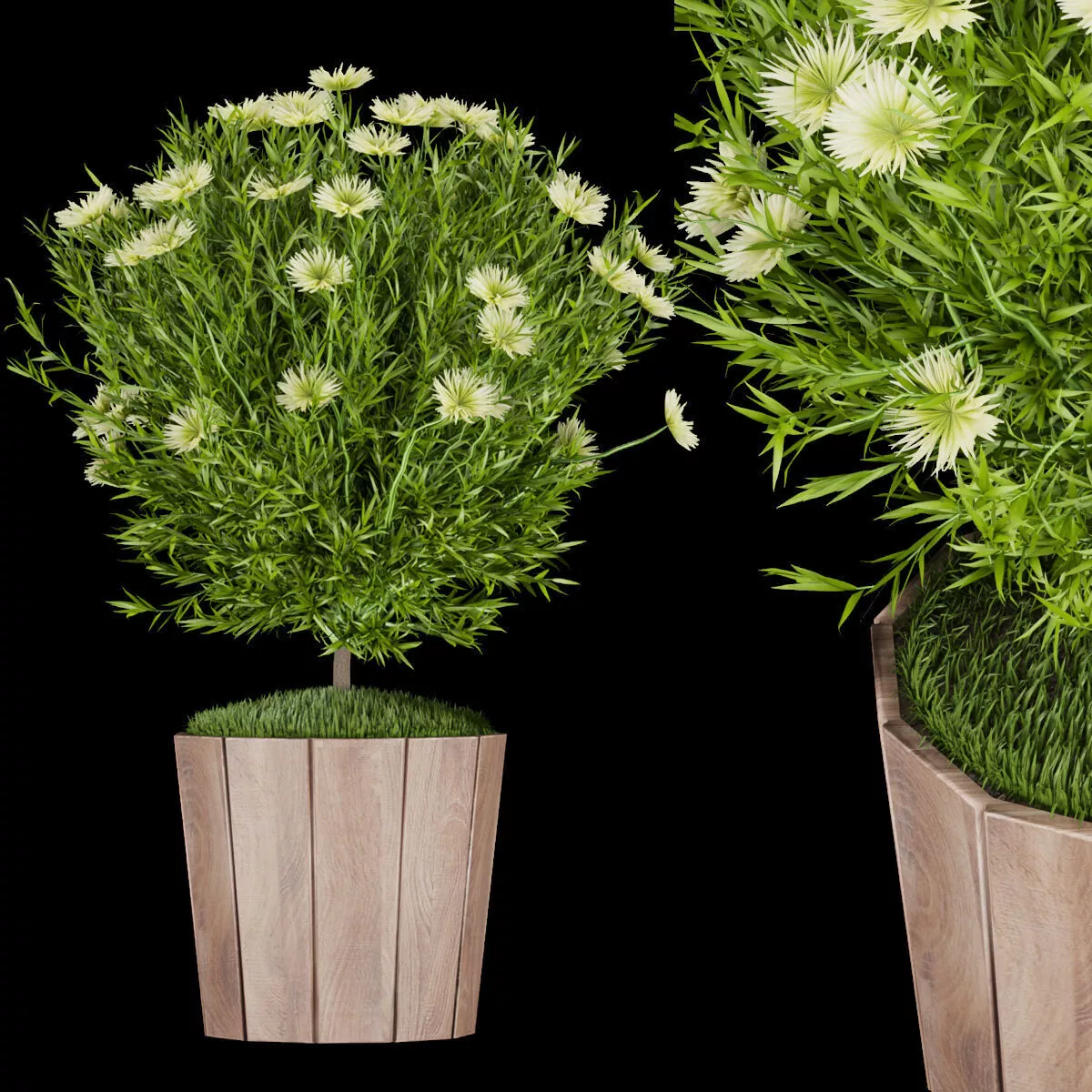 Collection plant vol 127 3D model