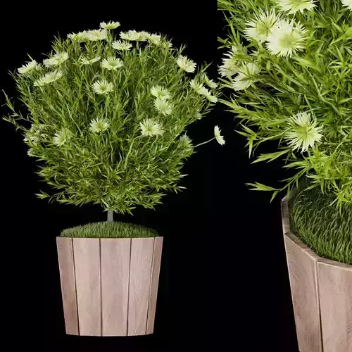 Collection plant vol 127 3D model