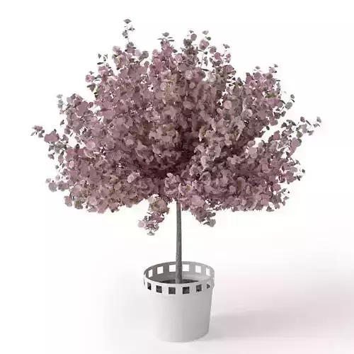 Pink Tree In A Pot 3D model