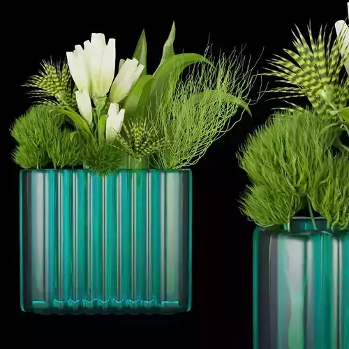 Collection plant vol 129