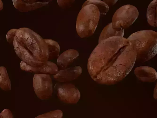 Coffee beans 3d