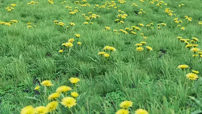 Grass Set 01 - Dandelion