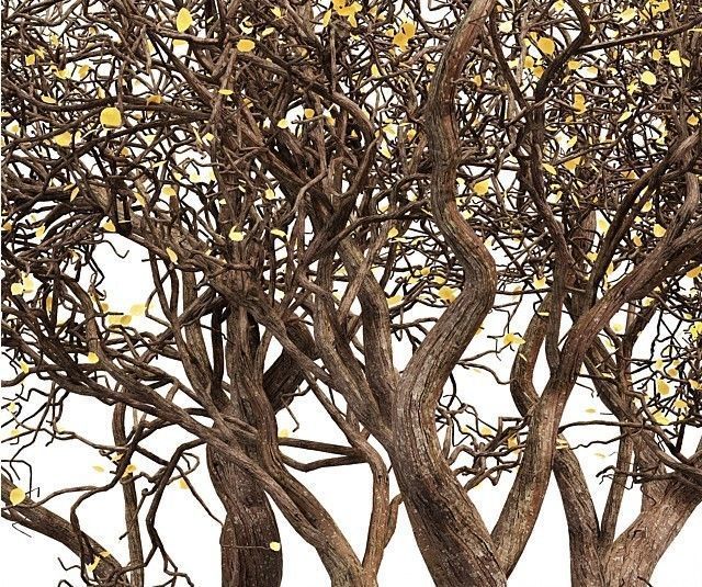 3 Tree silhouette Dry Tree Or Dead Tree001 3D model_3