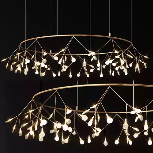 Heracleum The Big OMoooi