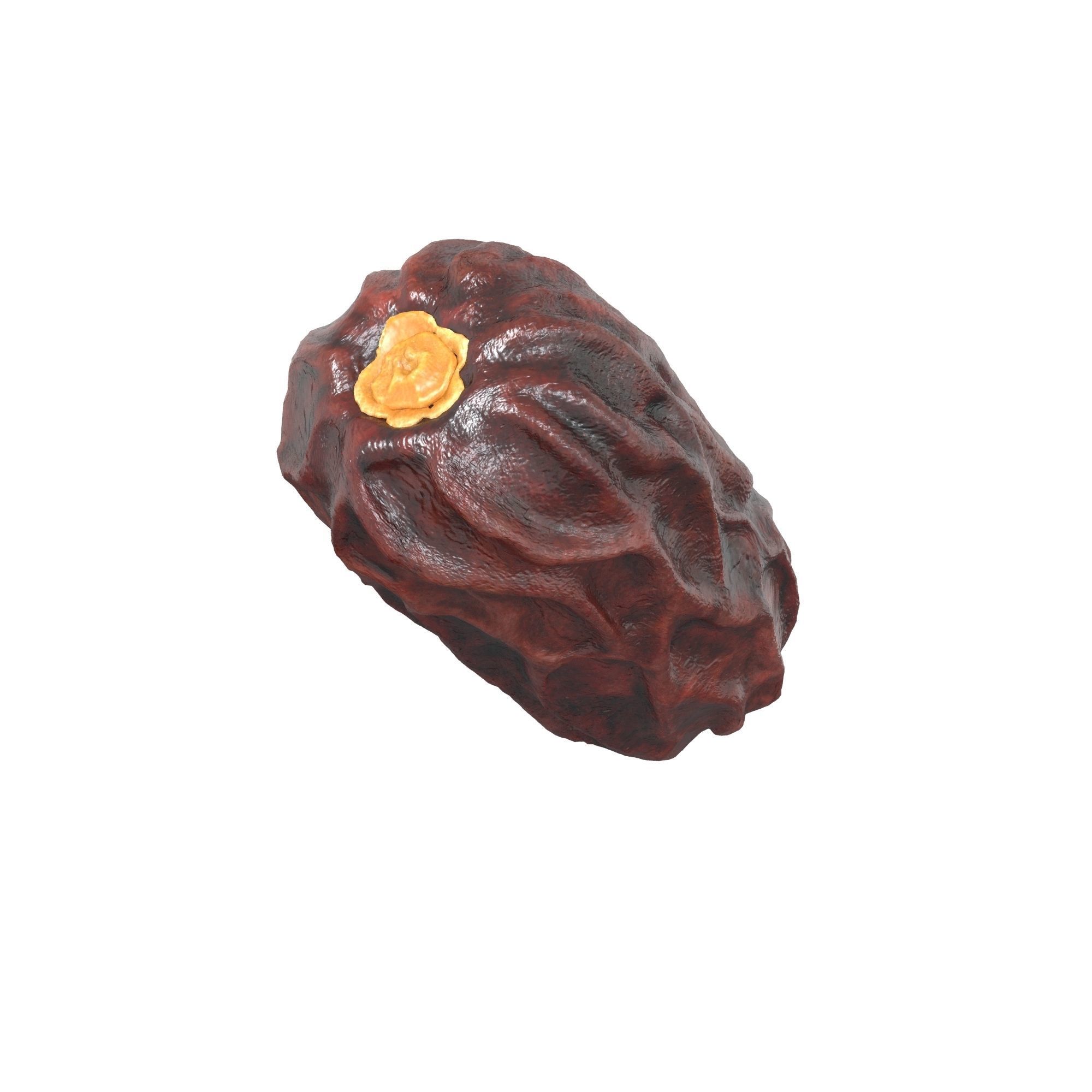 Dried Date 3D model_4