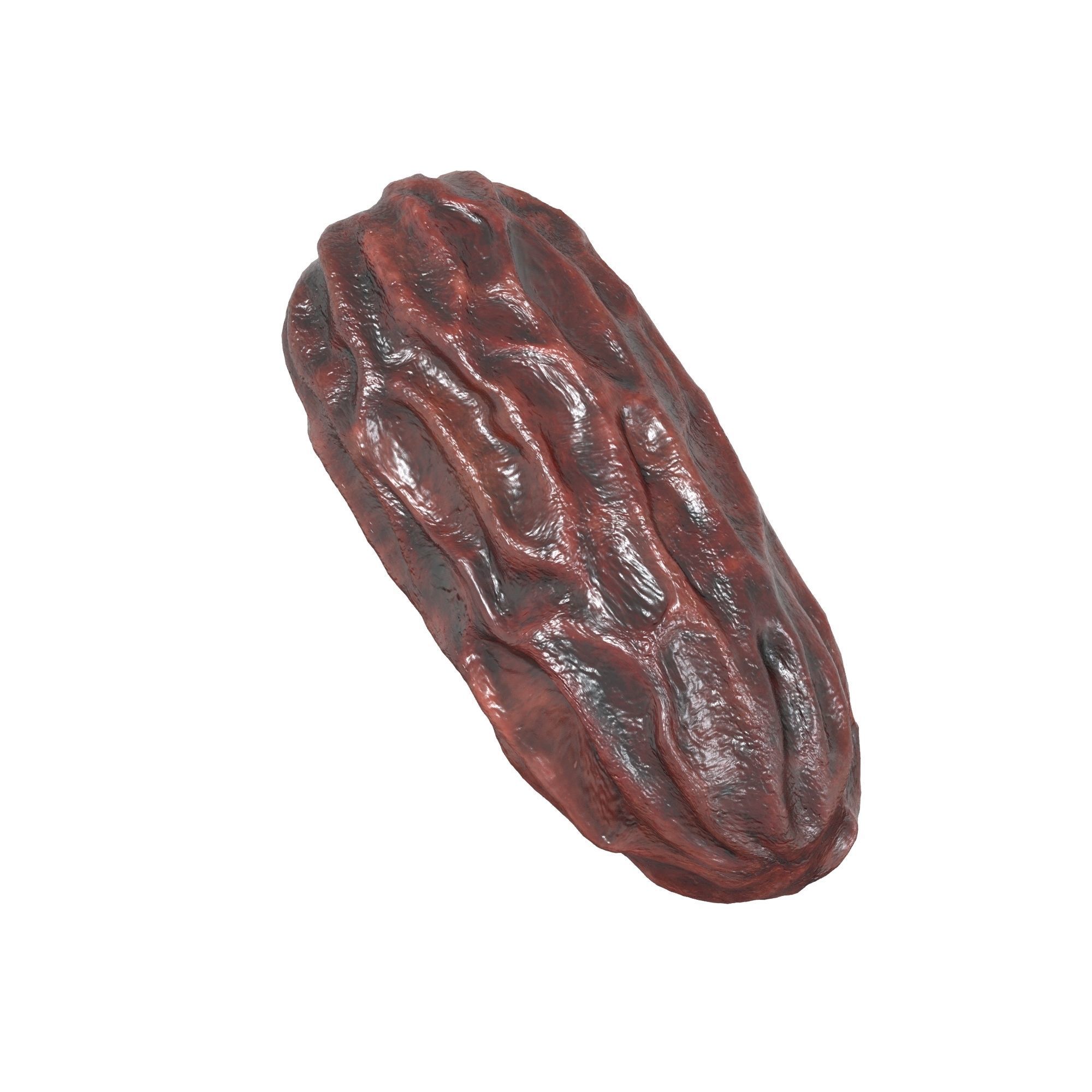 Dried Date 3D model_5