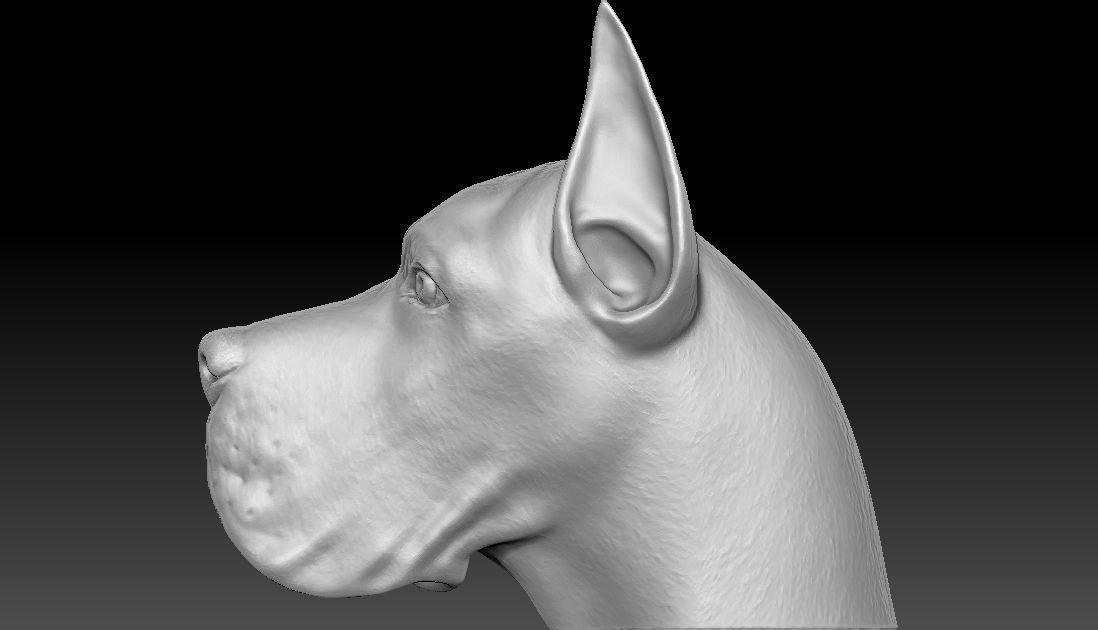 Great Dane head for 3D printing 3D print model_12