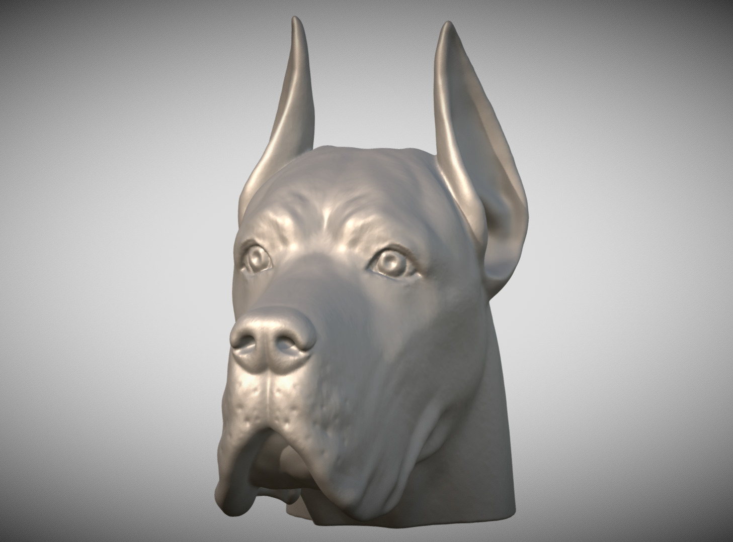 Great Dane head for 3D printing 3D print model_2