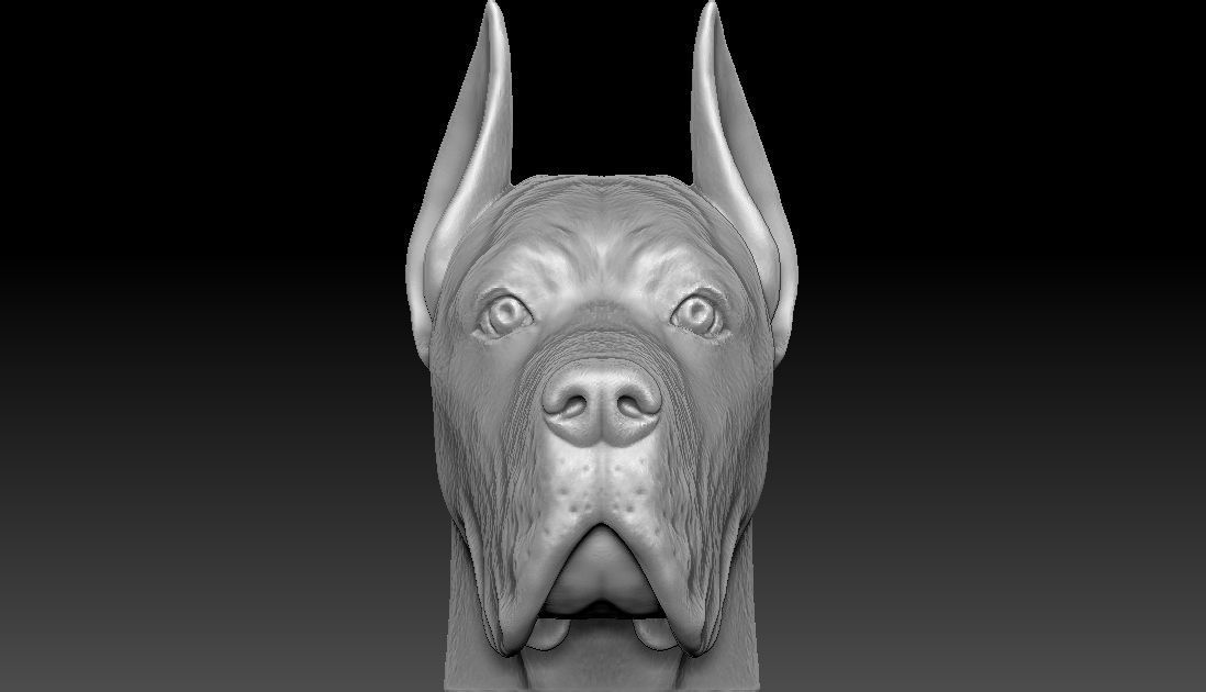 Great Dane head for 3D printing 3D print model_4