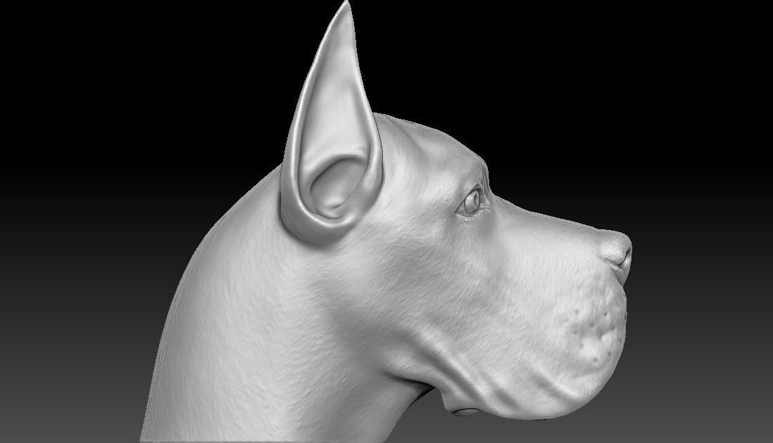 Great Dane head for 3D printing 3D print model_7