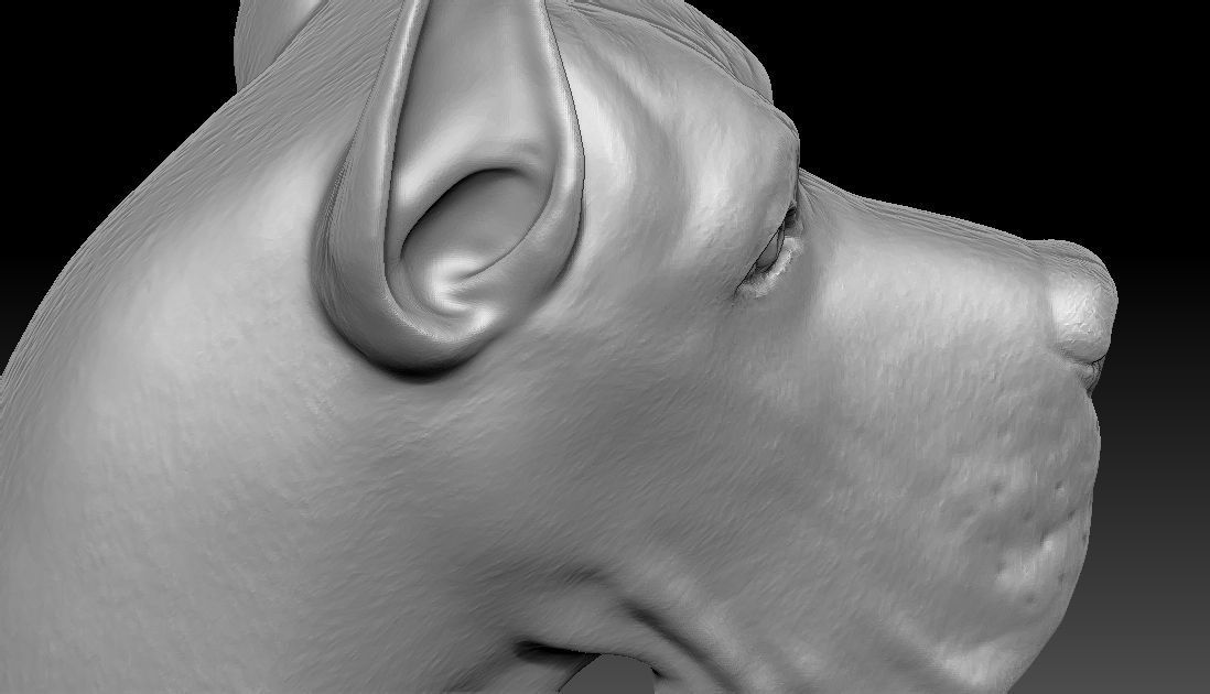 Great Dane head for 3D printing 3D print model_23