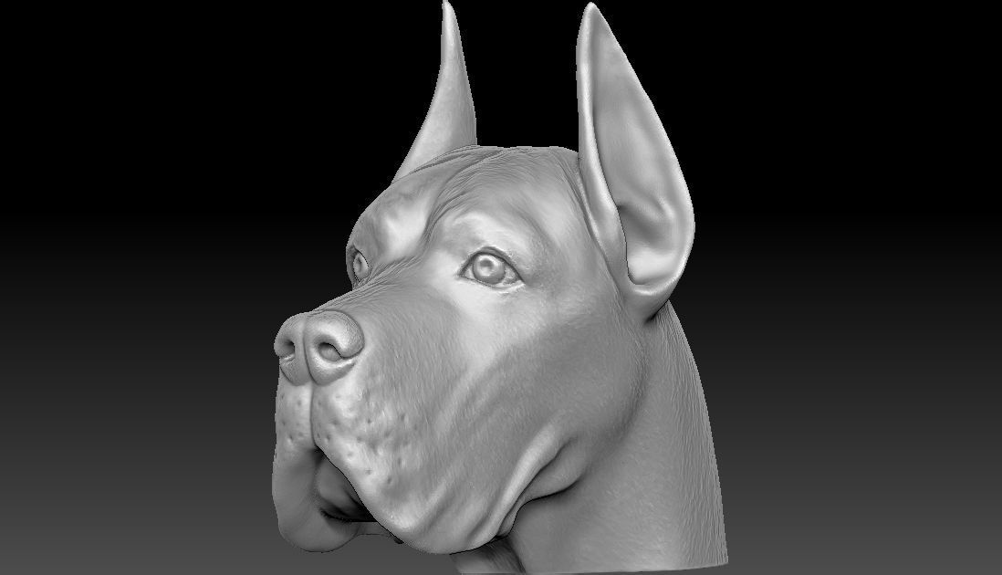 Great Dane head for 3D printing 3D print model_14