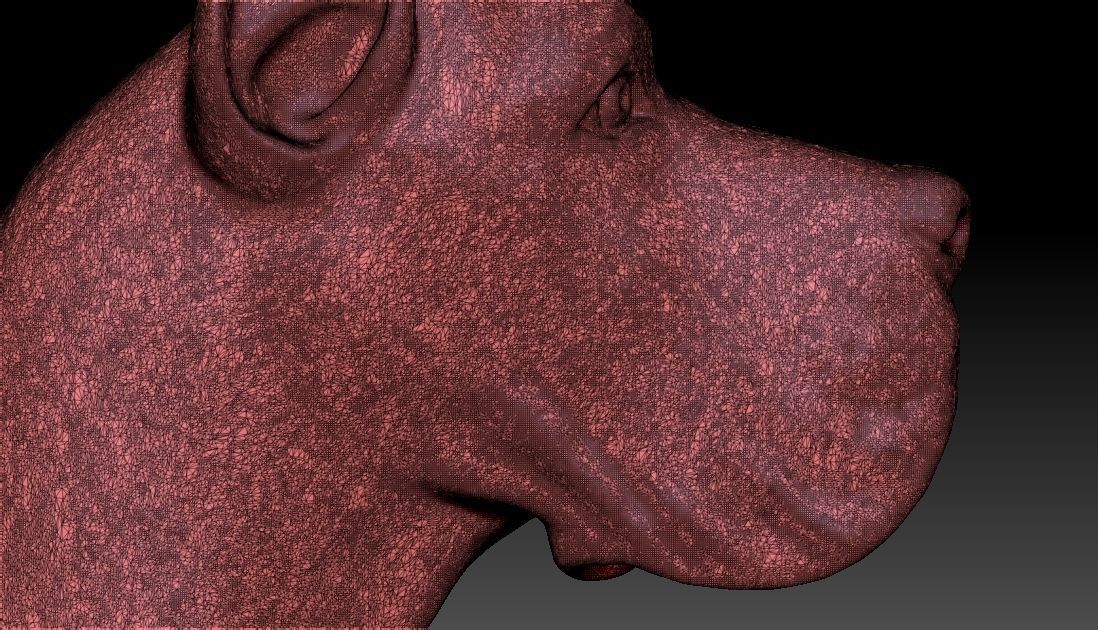 Great Dane head for 3D printing 3D print model_26