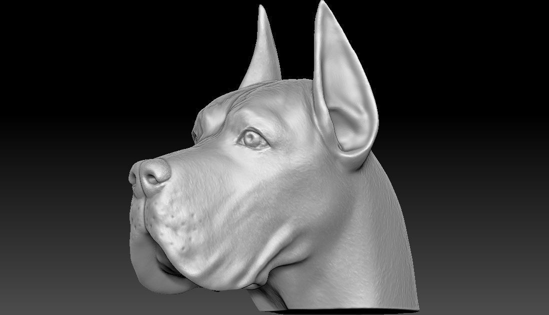 Great Dane head for 3D printing 3D print model_13