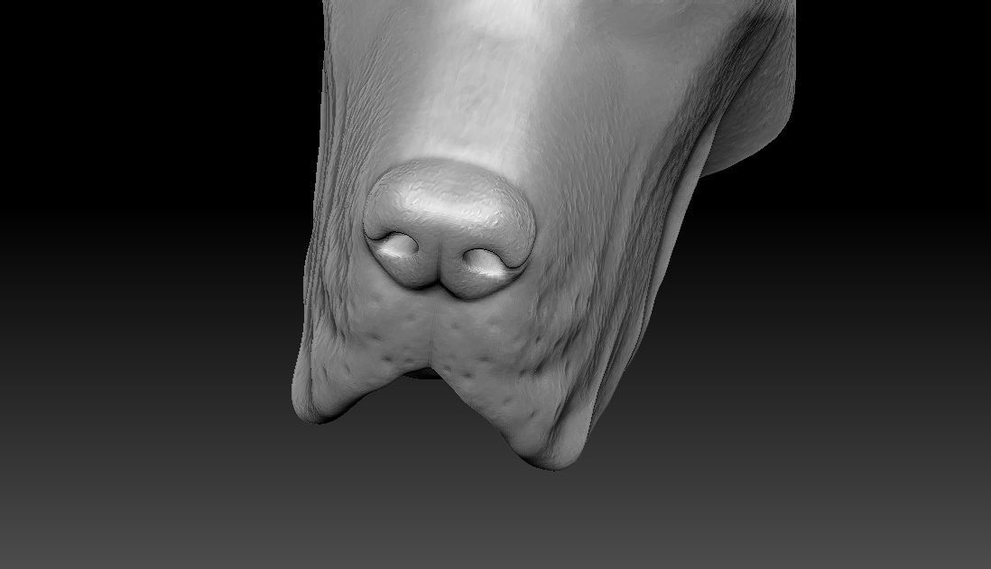 Great Dane head for 3D printing 3D print model_22