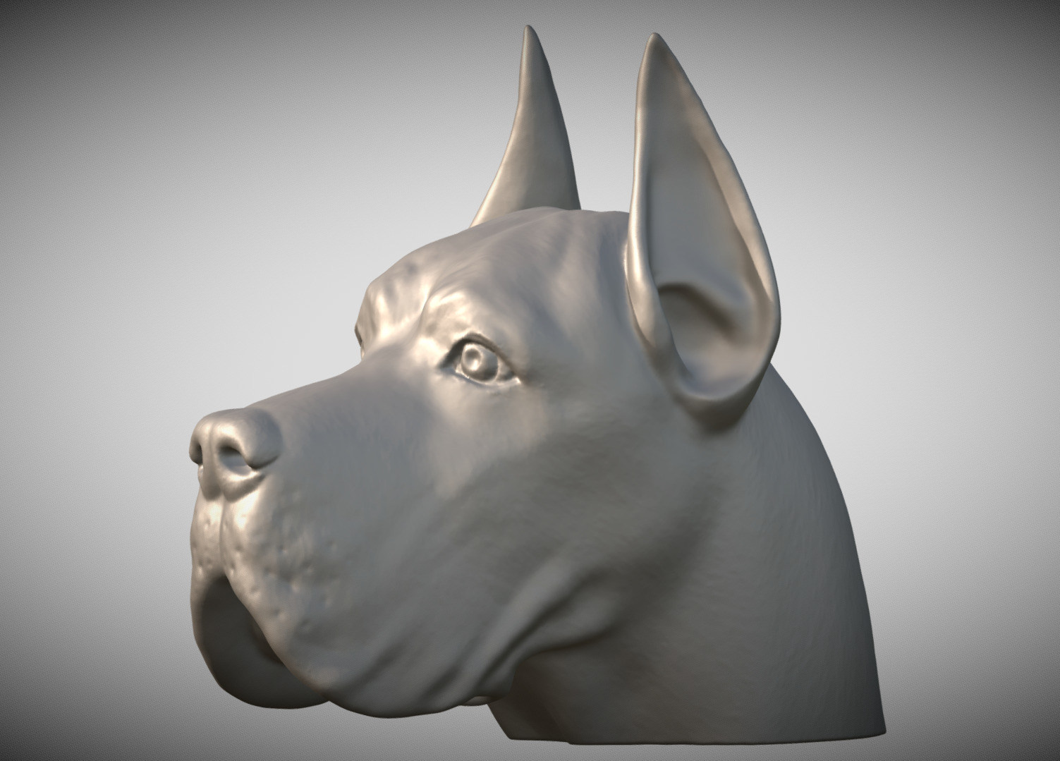 Great Dane head for 3D printing 3D print model_1