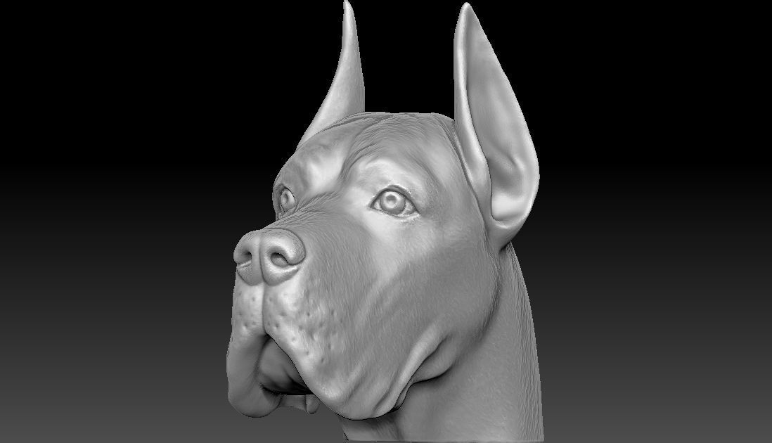 Great Dane head for 3D printing 3D print model_3