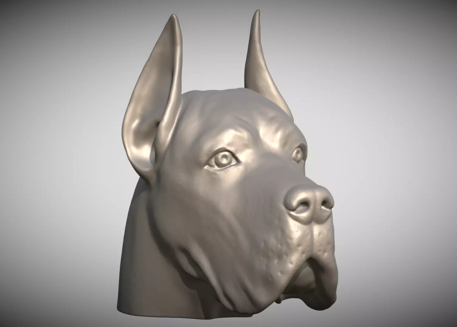 Great Dane head for 3D printing 3D print model_0