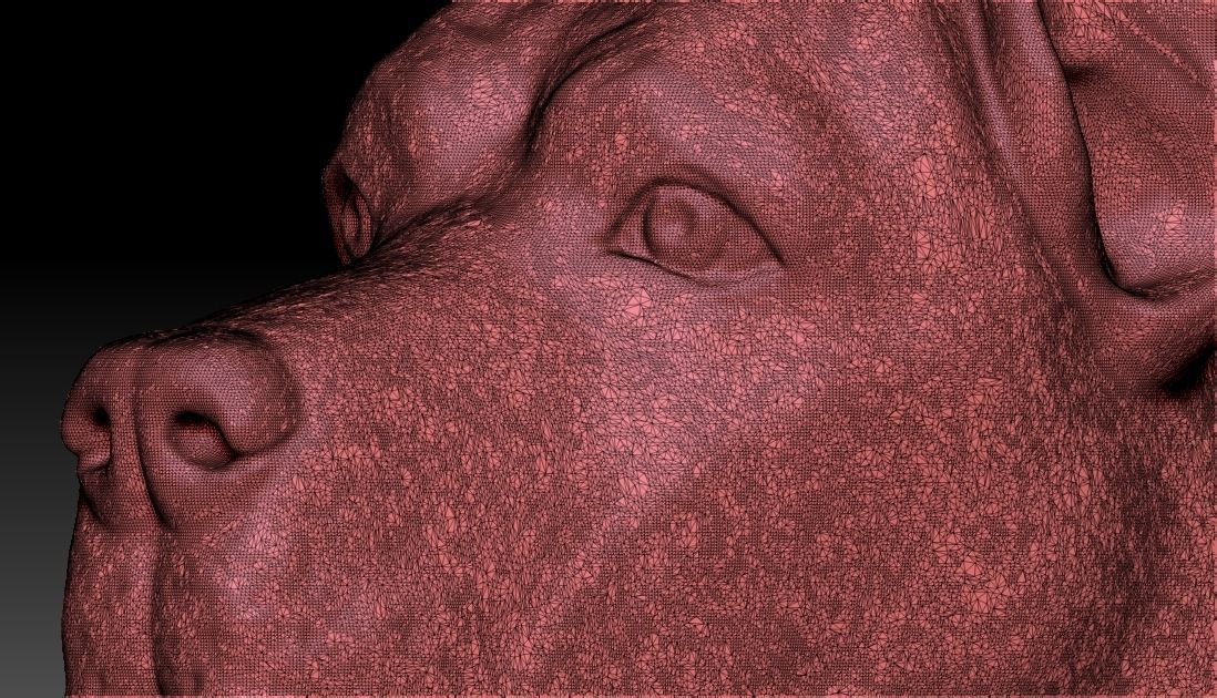 Great Dane head for 3D printing 3D print model_25