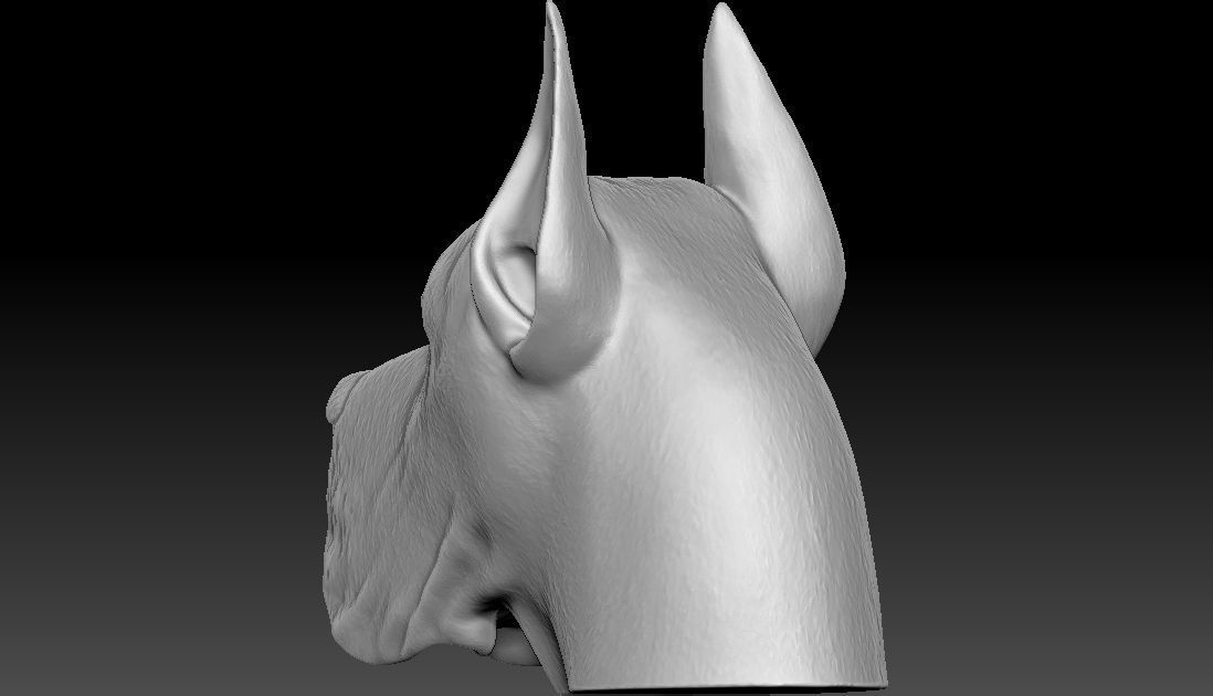 Great Dane head for 3D printing 3D print model_11
