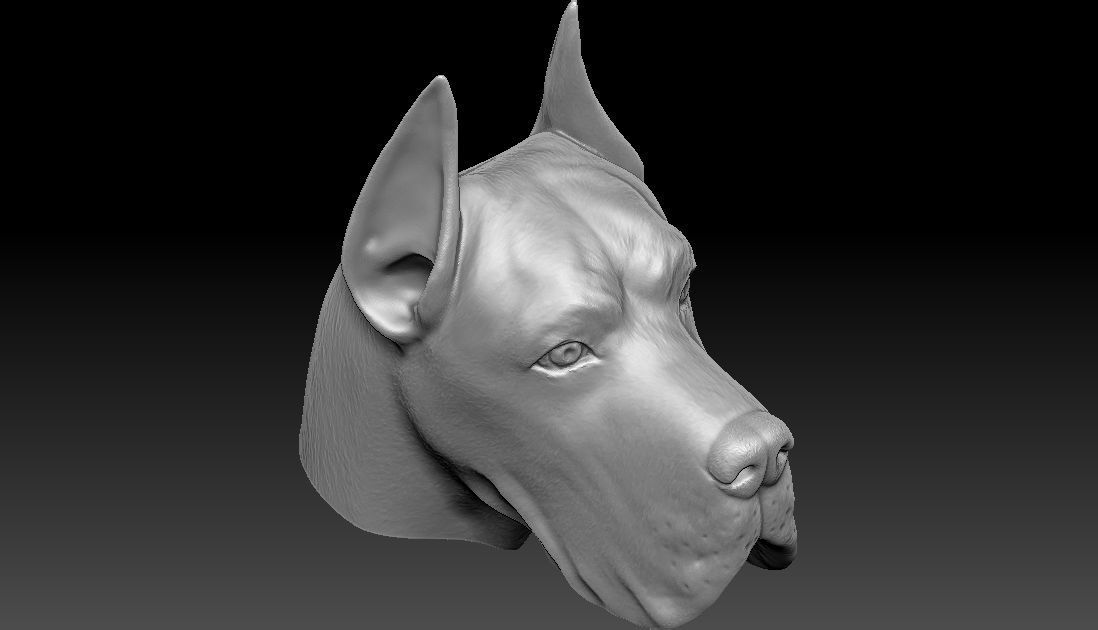 Great Dane head for 3D printing 3D print model_17