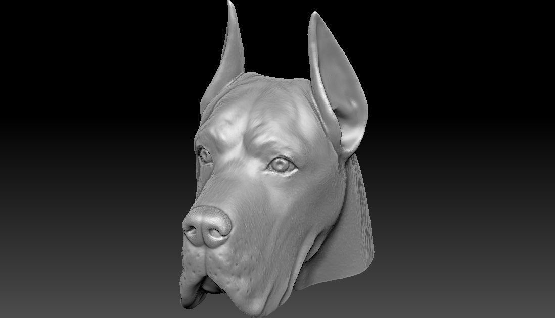 Great Dane head for 3D printing 3D print model_16