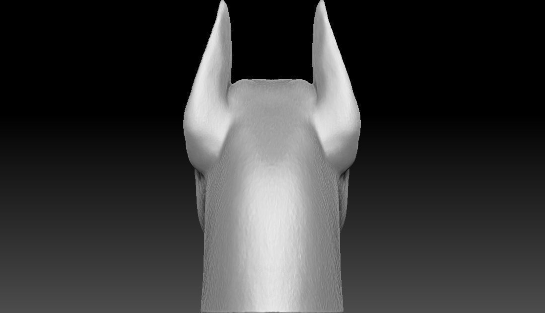 Great Dane head for 3D printing 3D print model_10