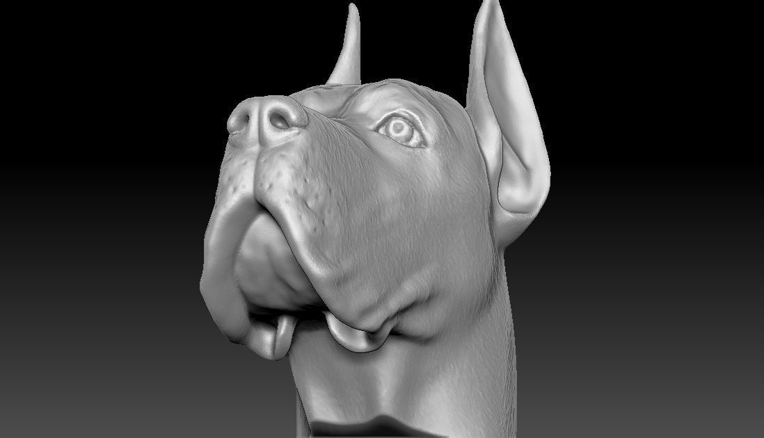 Great Dane head for 3D printing 3D print model_21