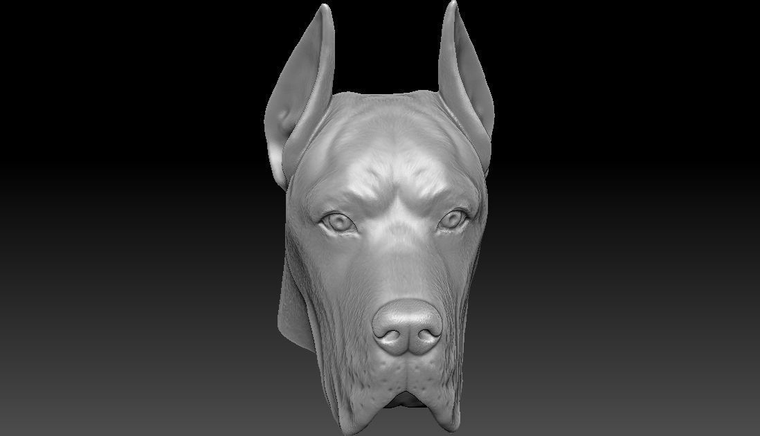 Great Dane head for 3D printing 3D print model_15