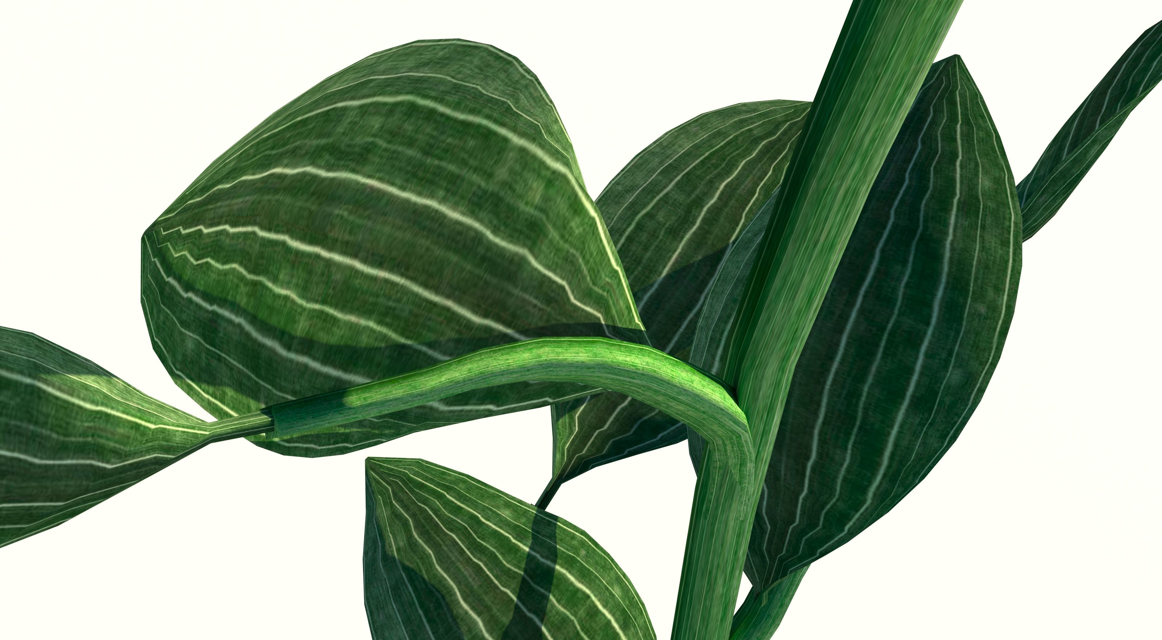 Sunflower Low-poly 3D model_3