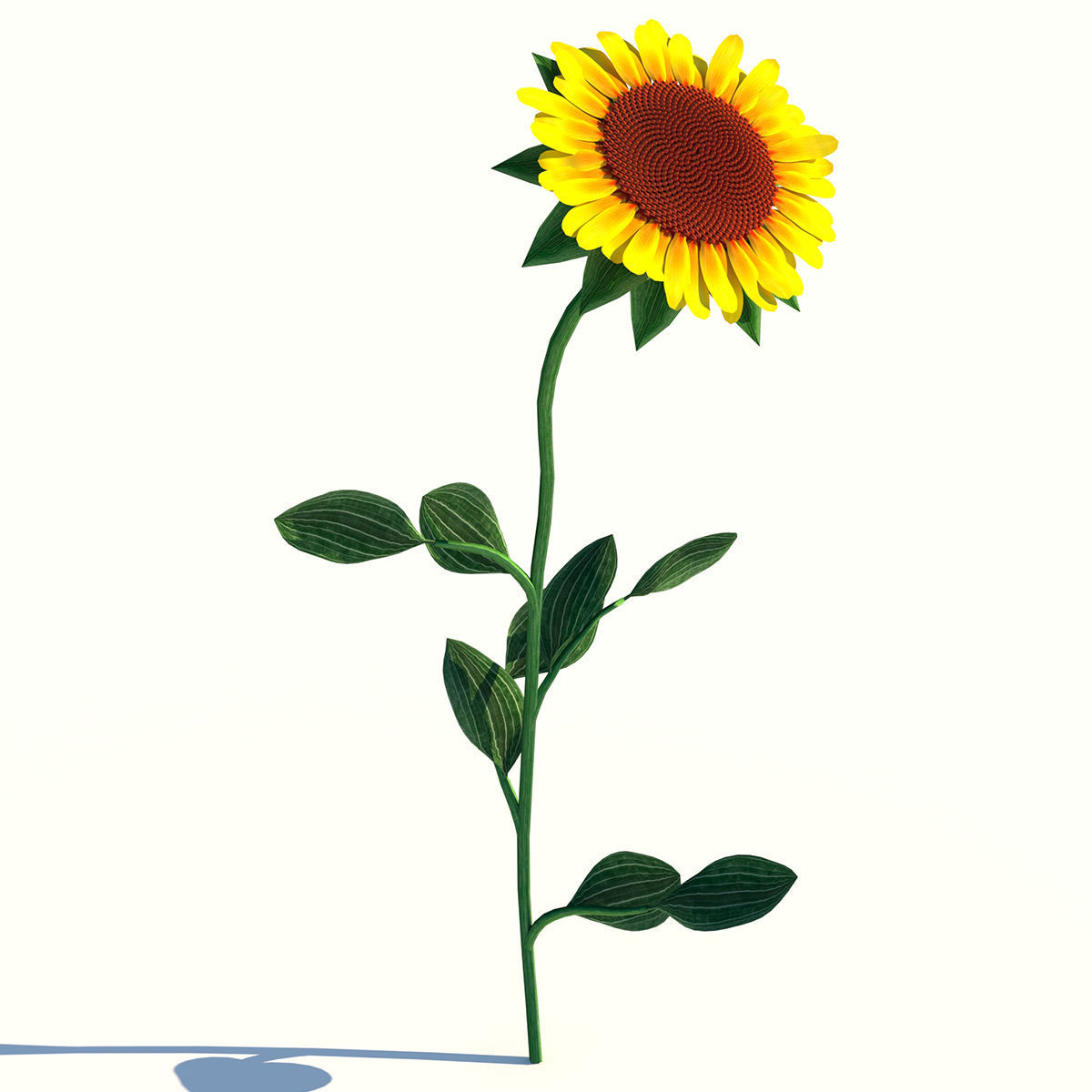 Sunflower Low-poly 3D model_0