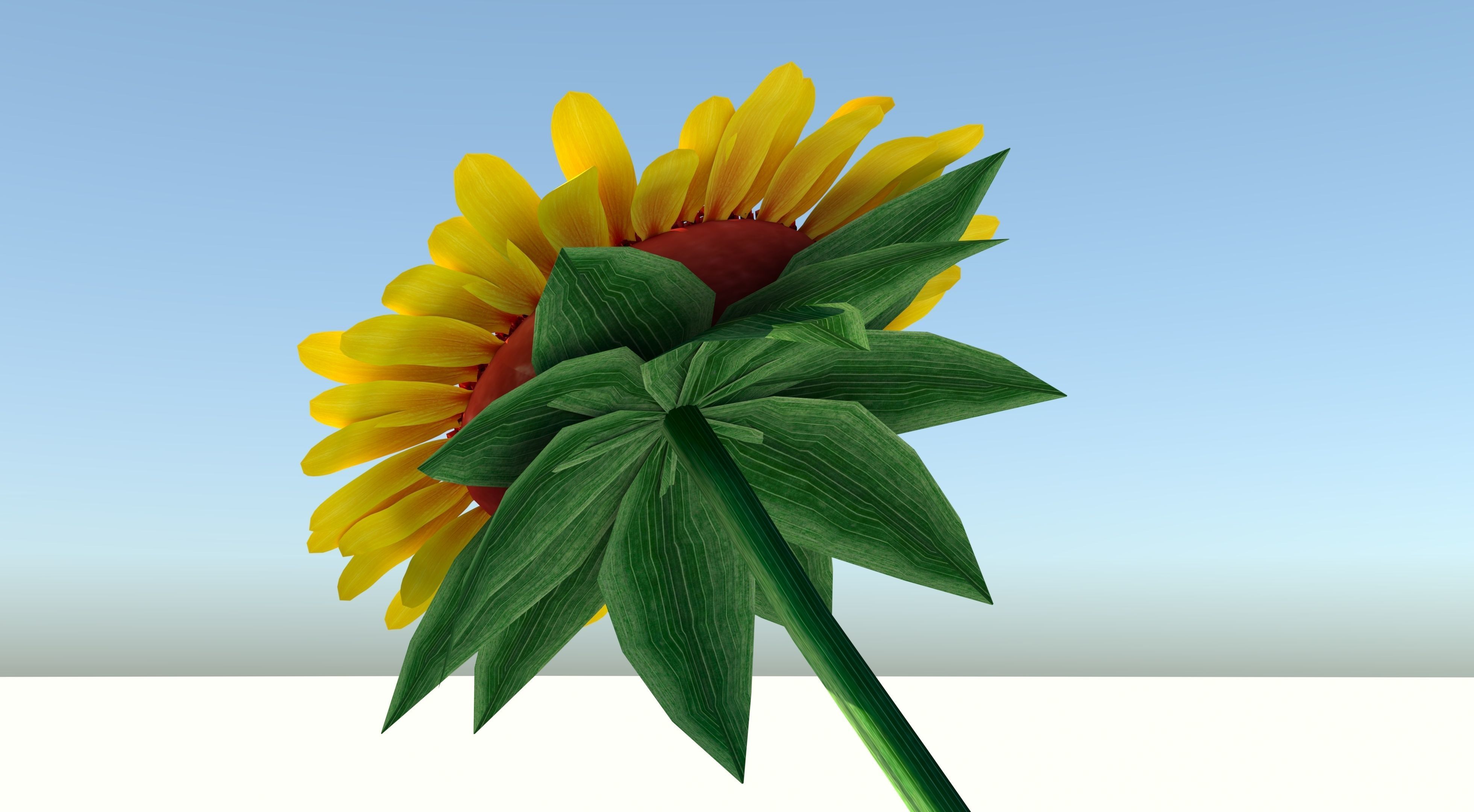 Sunflower Low-poly 3D model_6