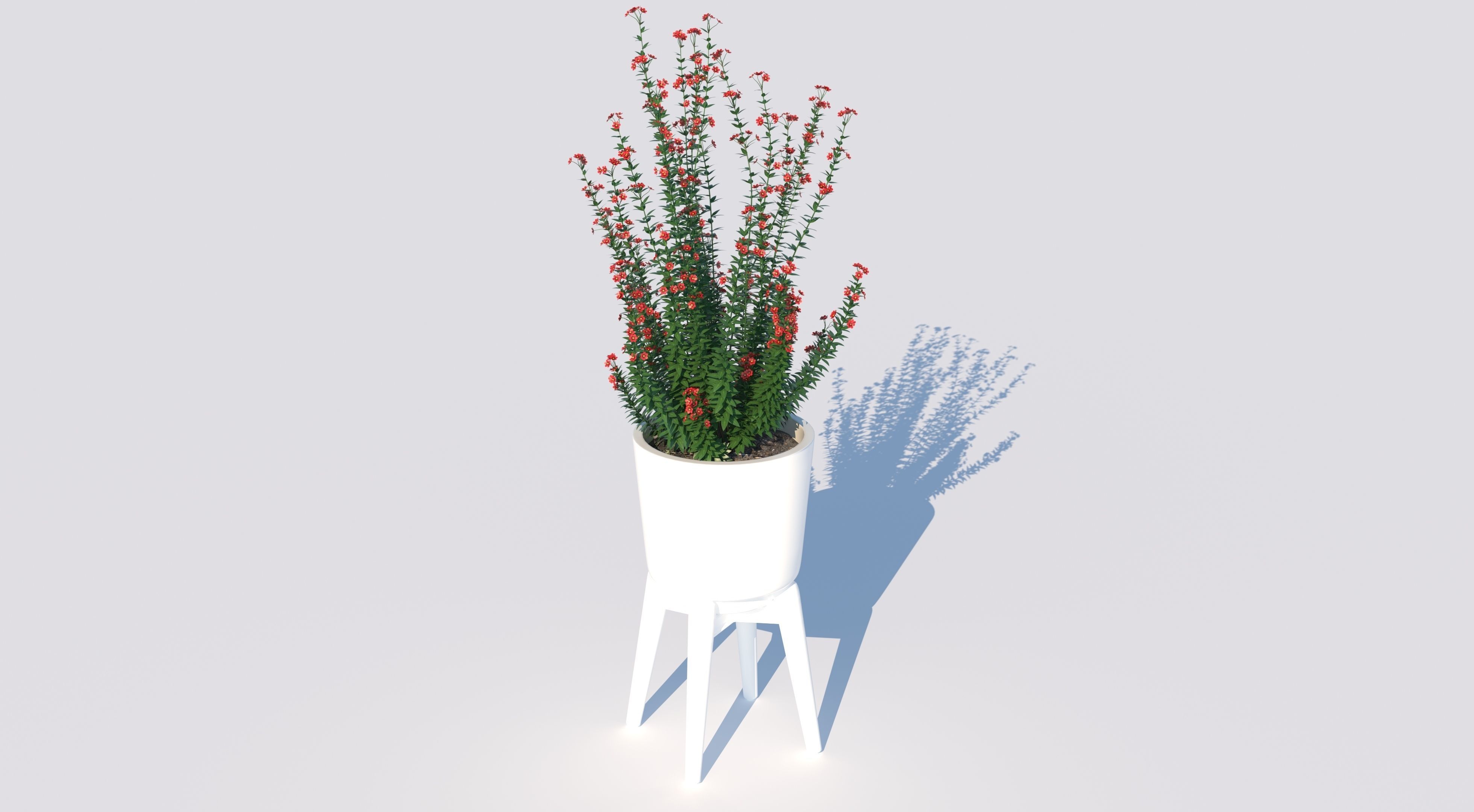 Pot Plant  3D model_2
