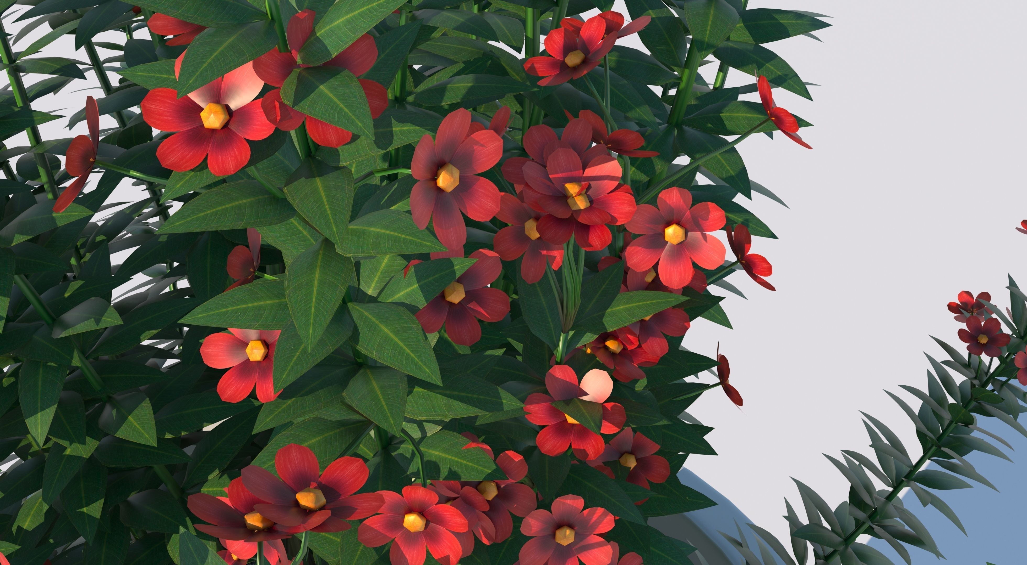 Pot Plant  3D model_5