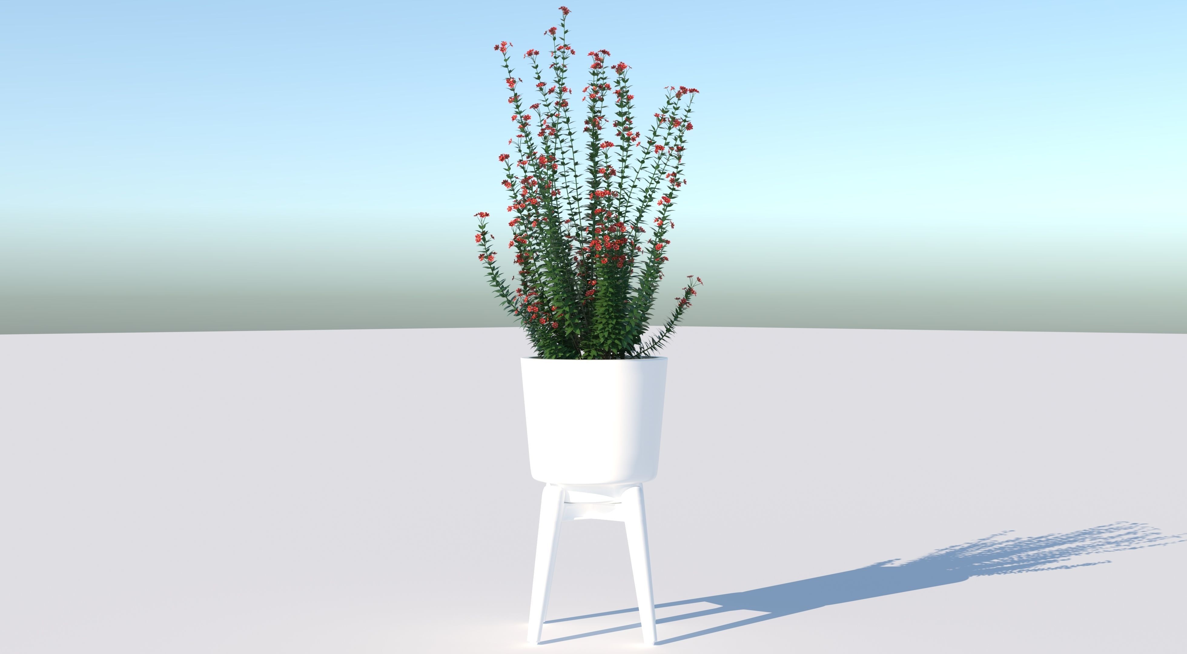 Pot Plant  3D model_1