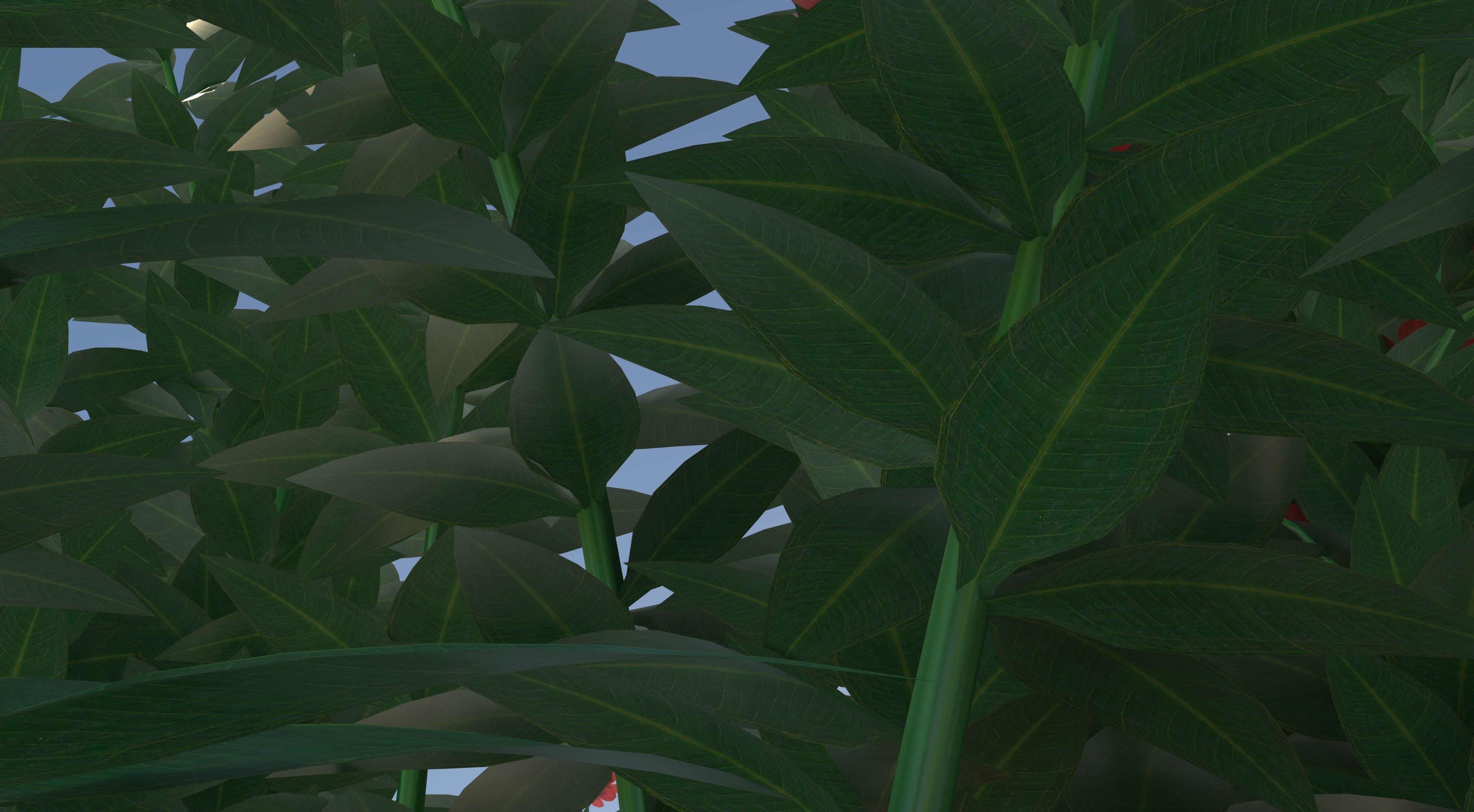 Pot Plant  3D model_6