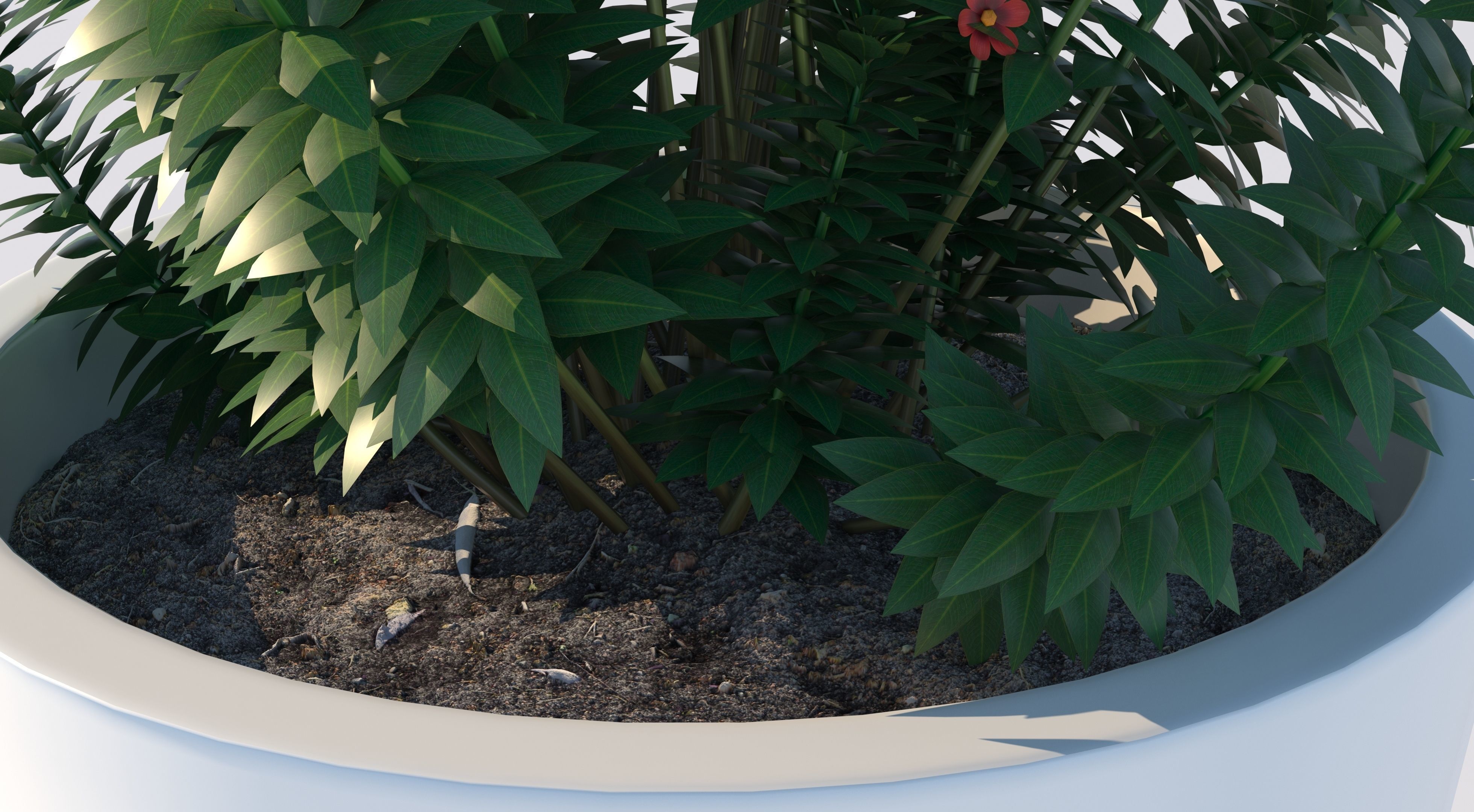 Pot Plant  3D model_4